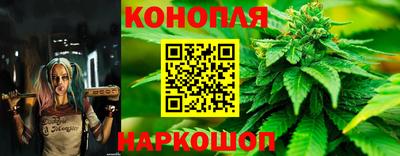 стафф Гусиноозёрск