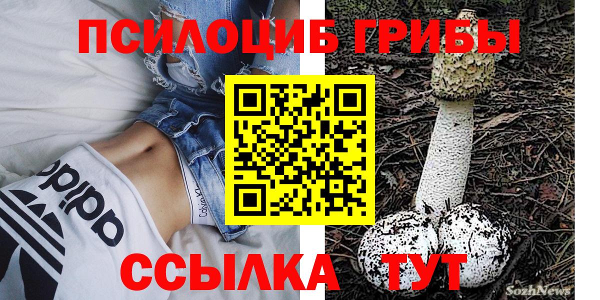 Псилоцибиновые грибы GOLDEN TEACHER Кимовск