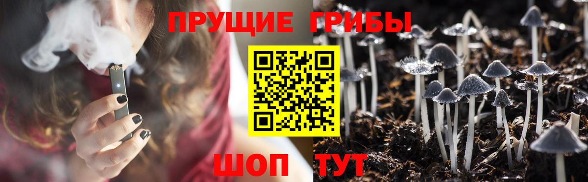 Галлюциногенные грибы Psilocybe  Вход с VPN  Кимовск  Псилоцибиновые грибы Psilocybe 